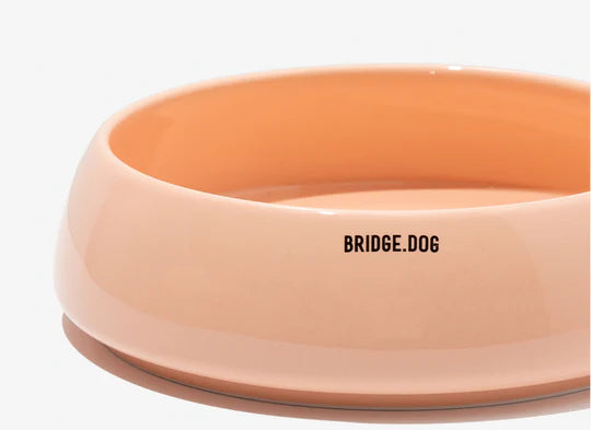 Bridge Dog Big Ladder - Peach Pink (Glossy) - hanfancosmetics Australia
